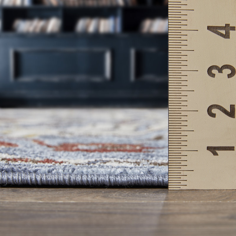 Raaya Washable Oriental Indoor Rug, Rectangle 4' x 6'