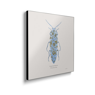 Steelpix Metal Canvas - Adorning Coleoptera VIII Sq Blue by James Wiens - Wall Art Print