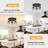 Directional & Spotlight-120143456-114357192