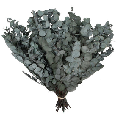 0.25'' Plant