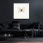 «White Butterfly» par Photoinc Studio, art mural en verre acrylique-888331347
