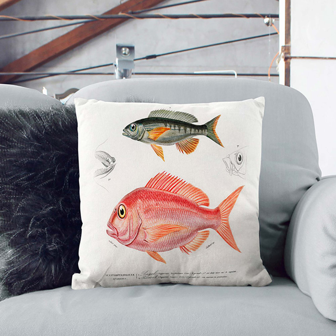 Fish Illustrations by Charles D' Orbigny Cushion with Filling