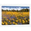 «Fields of Gold», reproduction de peinture à l'aquarelle sur toile tendue-29052762-72801335-72801323