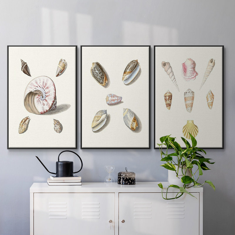 " Pastel Knorr Shells I " 3 - Pieces, H 24 po x l 48 po x P 2 po, Noir