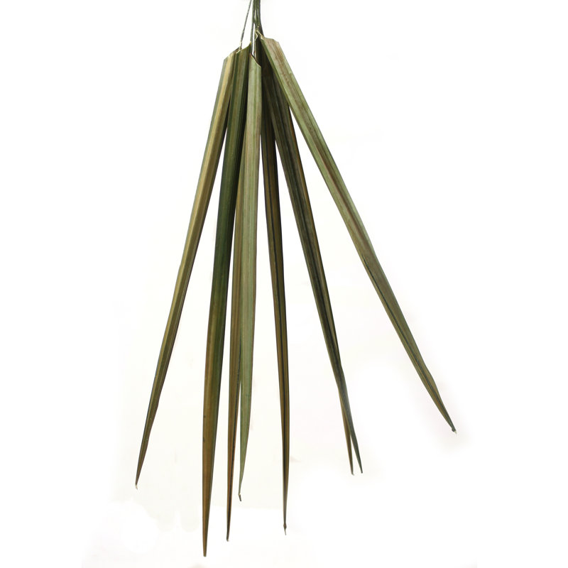 LOTS DE Pales naturelles - couleur basilic