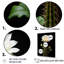 «Cactus Ivory Isolation II», reproduction sur toile-1116746-1116751