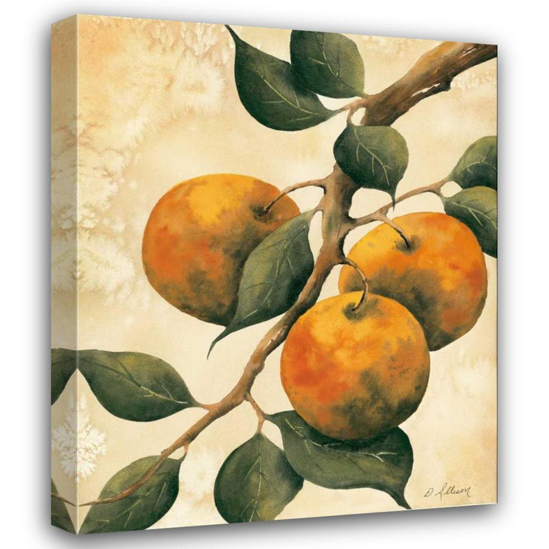 «August Grove® Allison, Doris Gallery, art sur toile tendue« Italian Harvest, Oranges », H 24 po x l 20 po