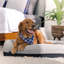 Bedgear Performance Dog Bed - Medium/Large - Durable and Washable Cover