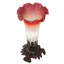 Chesa Torchiere Table Lamp