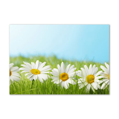 Daisies - No Frame Print on Canvas