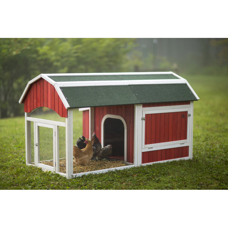 Poulailler Pavlof pouvant accueillir jusqu'à 5 poulets