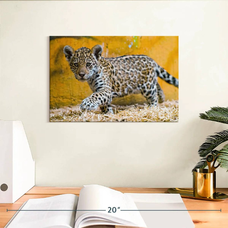 Brampt Jaguar Cub, 8" H x 12" W