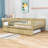 Alene Daybed with Trundle-59747864-59747871