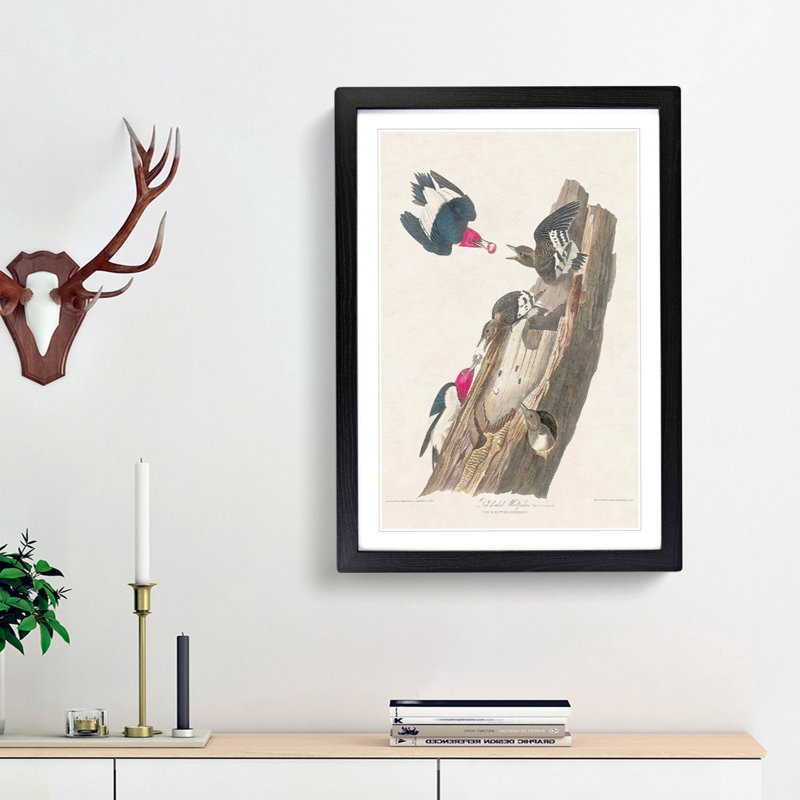 Red-Headed Woodpeckers by John James Audubon - Picture Frame Painting Print, 48cm H x 36cm W x 2cm D, Black Framed
