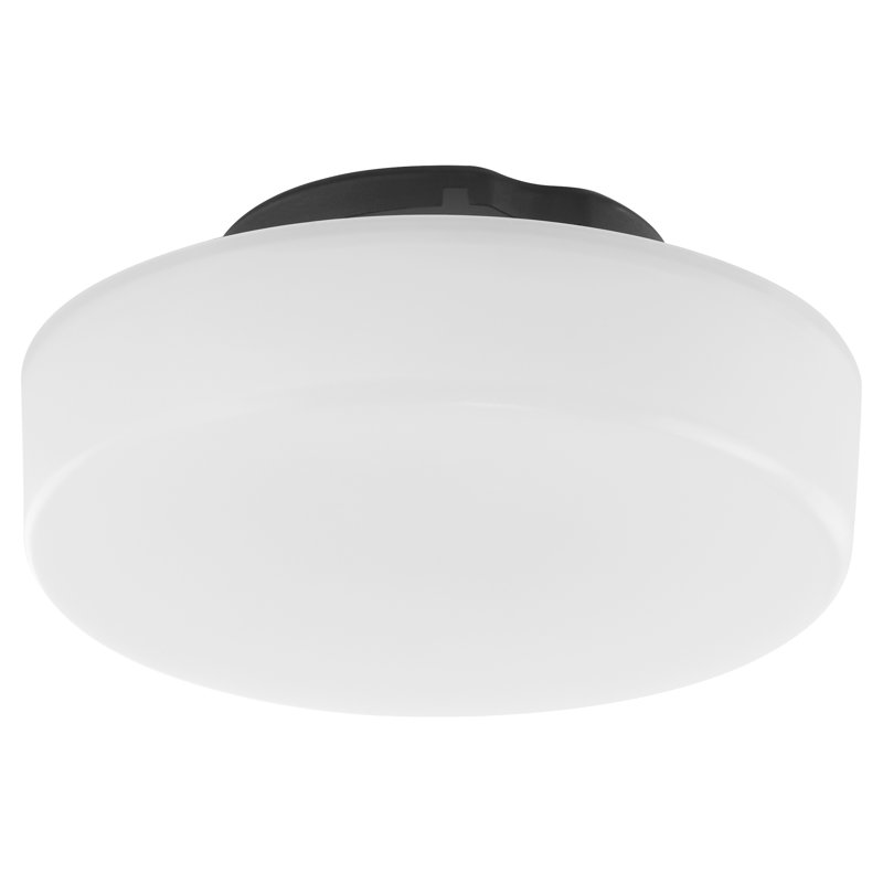 Iphagenia 4.875'' 1 - Light Black LED Globe Ceiling Fan Light Kit