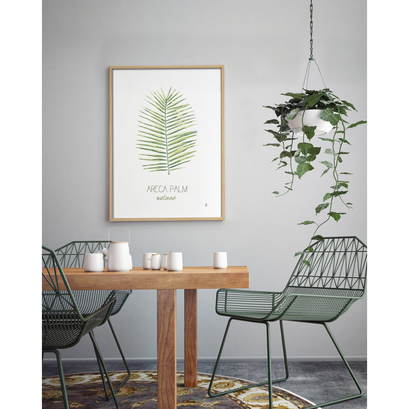 Nature Nature Areca by César Ortiz Echagüe - Single Picture Frame Painting, 60cm H x 40cm W x 3cm D