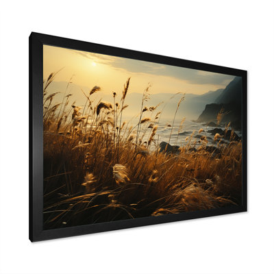 " Coastal Grass By The Beach "