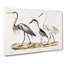 Three Herons by J.E. De Kay - Wrapped Canvas Painting-55358306
