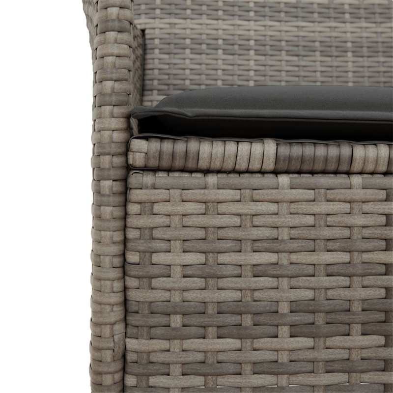 Chaises de patio avec coussins 2 pièces Red Barrel Studio® Red, Gris