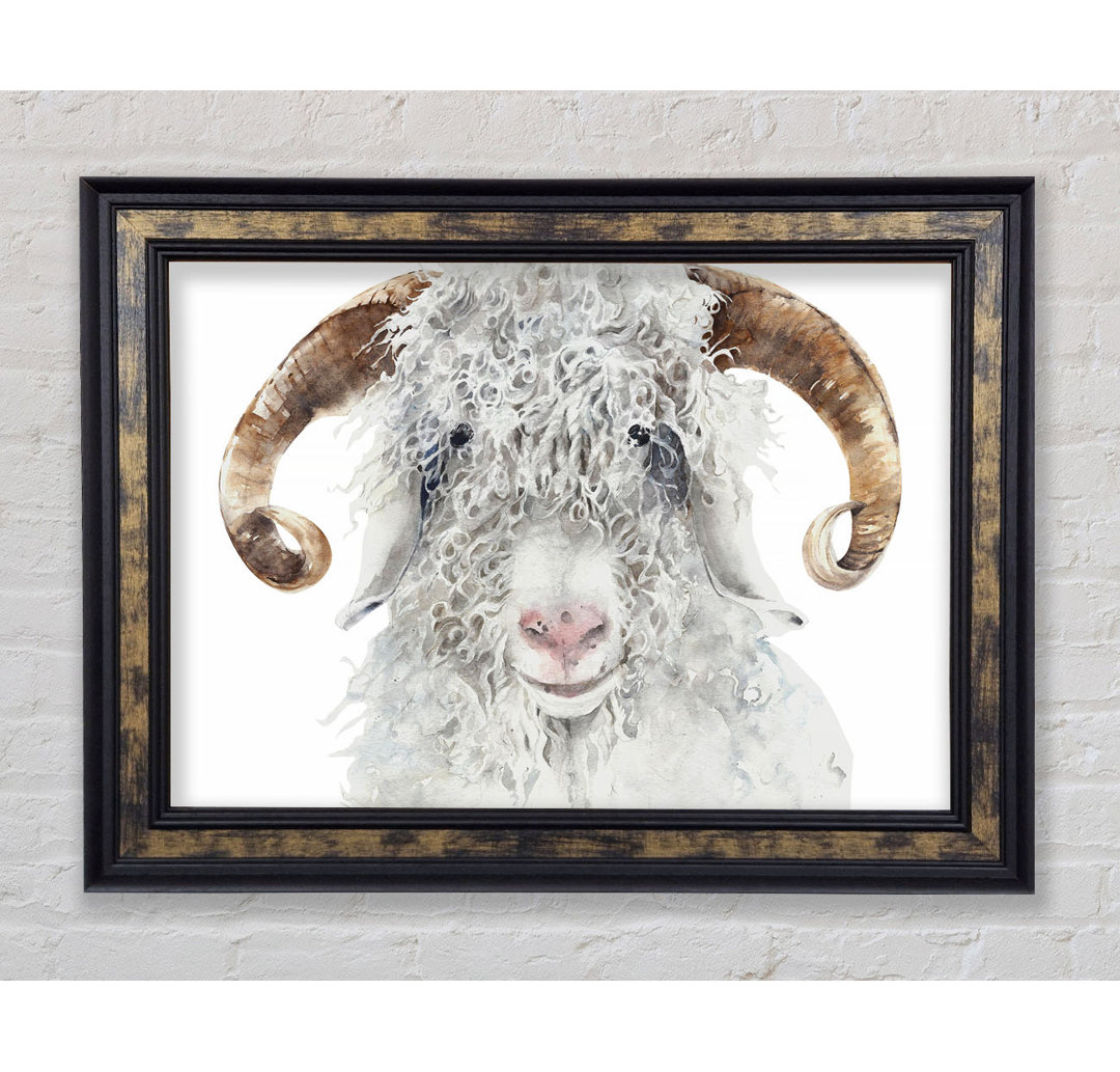 Sheep Beauty - Einzelner Bilderrahmen Kunstdrucke