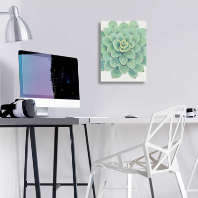 «Pastel Succulent III» par Tim O'Toole, art mural en verre acrylique