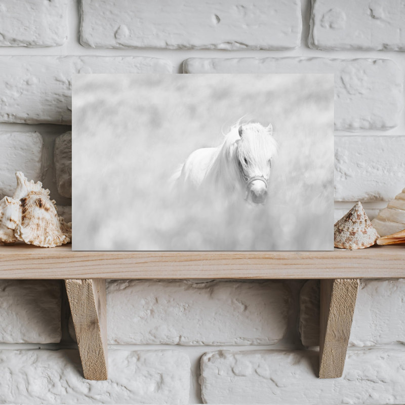Print, 30.48cm H x 45.72cm W