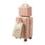 2-Piece Hard Shell Travel Suitcase Set