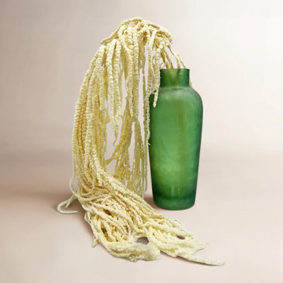 Modern Art Preserved Amaranth Stems