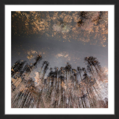 Karolis Janulis - Single Picture Frame Print