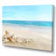 Paysage avec coquillages sur une plage tropicale - photographie sur toile-67465930-67465931