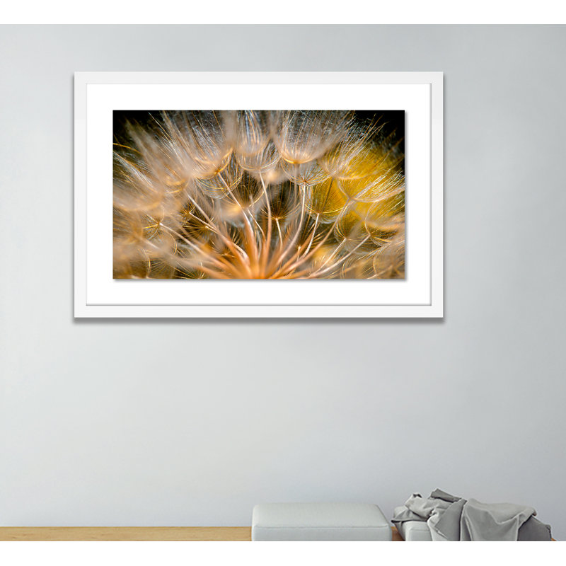 Float Away Print by Geoffrey Baris, 30" H x 48" W x 2.5" D, White
