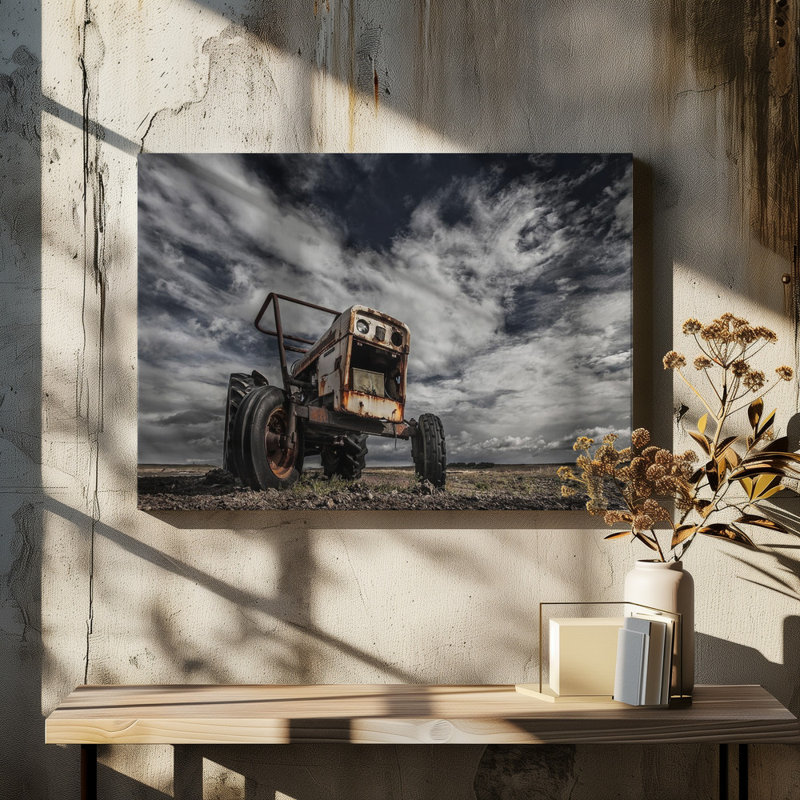 Wrapped Canvas Print, 76.2 cm H x 50.8 cm W