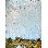 Landscape & Nature Print by John Beard