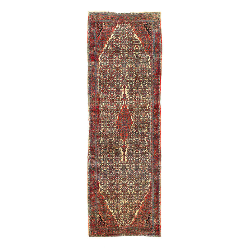 Tapis ivoire unique 5 pi 6 po x 17 pi 8 po Hutto