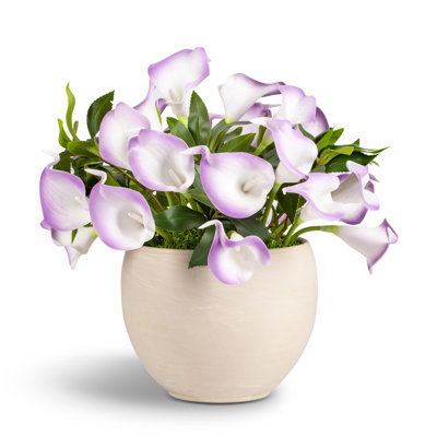 Arrangement de callas Nadine RealTouch