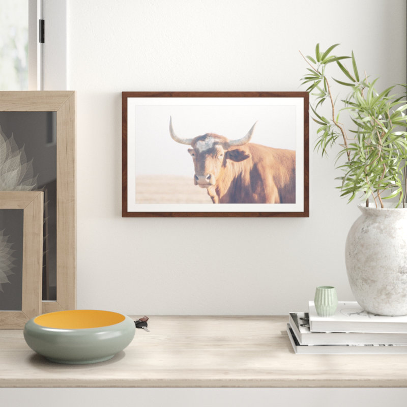 Parvez Taj - Single Picture Frame Print, 41cm H x 61cm W x 3.81cm D