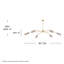 Hinkley Altman Chandelier-865241949