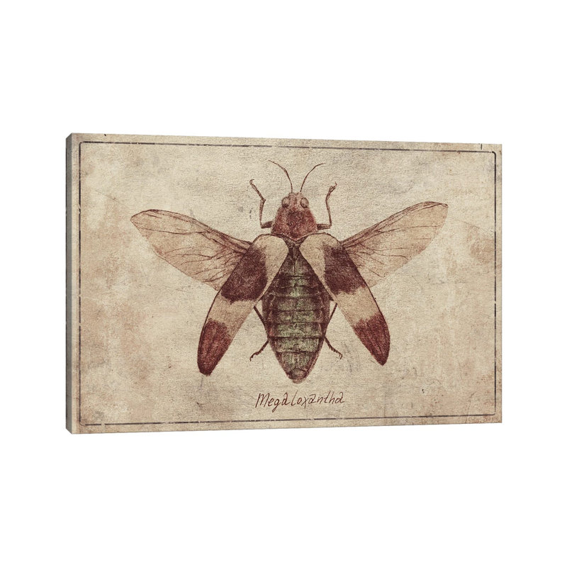 Megaloxantha 2 by Mike Koubou - Wrapped Canvas Print, 101.6 cm H x 66.04 cm W