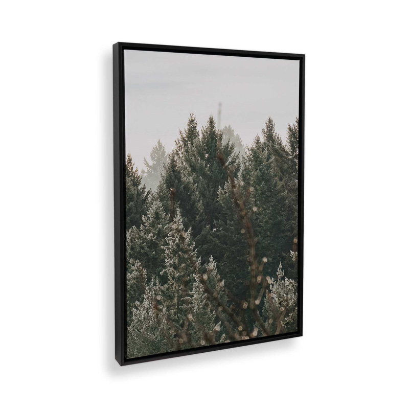 Impression sur toile Hush Evergreen III, Cadre flottant noir satiné, H 12,75 po x l 8,75 po x P 1,75 po