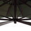 Parasol-937772581