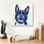 Art mural sur toile Winston Porter «Rainbow Dogs Boston Terrier» par Lindsay Kivi-16774941