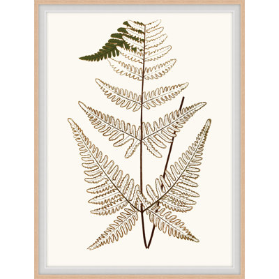 Elevated Undergrowth 4 Print by Art House Studios