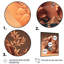 «Terra Cotta Bonzai Mountains II», reproduction sur toile-1320512554-1320512555
