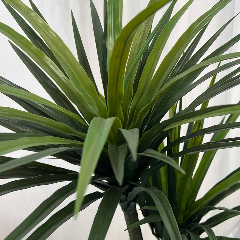 59.06 " H Faux Dracaena Tree