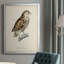«French Owls I», impression sur papier-1832933969-1832933972