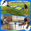 Jeu de tennis de table portable de trampoline portable pour une utilisation intérieure ou extérieure, comprend deux raquettes, quatre balles, un sac de rangement,