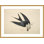 Buse à queue d'hirondelle des oiseaux d'Amérique par John James Audubon