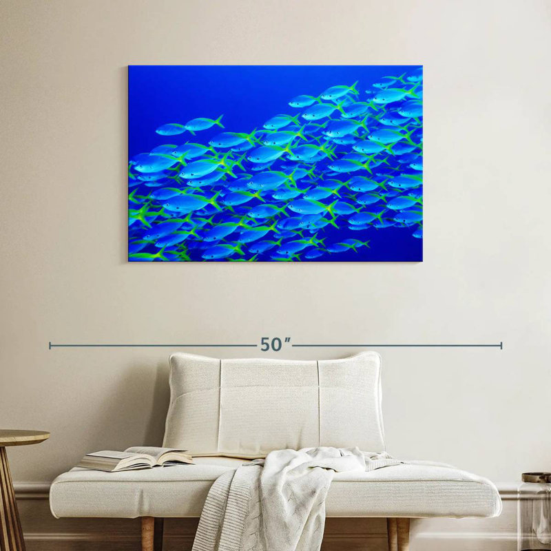 School Of Snapper Fish, 26" H x 39" W