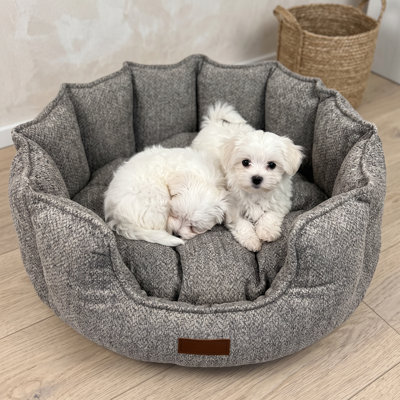 VelvetRest Grey Plush Cushion Donut Dog Bed