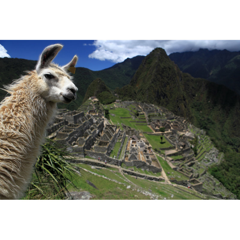 Llama And Macchu Picchu by 1001nights - Wrapped Canvas Print, 30cm H x 46cm W x 3.8cm D